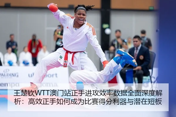 wang-chu-qin-ao-men-zhan-zheng-shou-jin-gong-xiao-lv-shu-ju-quan-mian-shen-du-jie-xi-gao-xiao-zheng-shou-ru-he-cheng-2-719.jpg